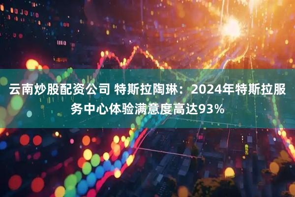 云南炒股配资公司 特斯拉陶琳：2024年特斯拉服务中心体验满意度高达93%