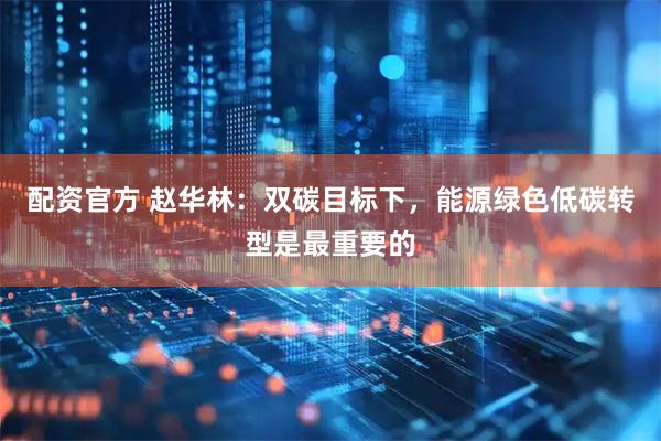 配资官方 赵华林：双碳目标下，能源绿色低碳转型是最重要的